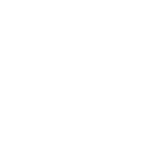 Security Shield