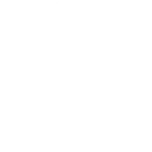 WordPress Logo